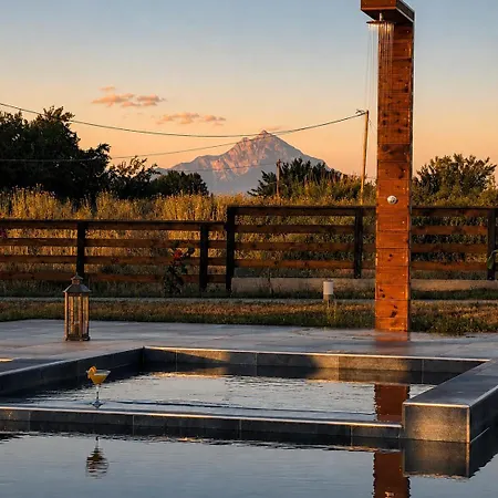 Bed & Breakfast Mini Boutique Dragani 4*