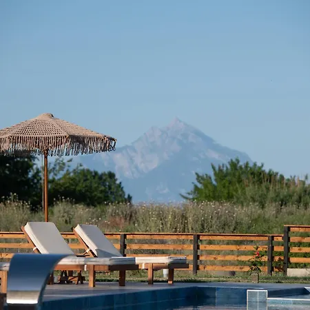 Mini Boutique Dragani Bed & Breakfast 4*